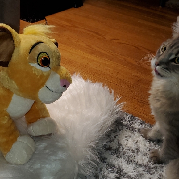 Build-A-Bear Disney Pumbaa From The Lion King - Picture 15 of 15